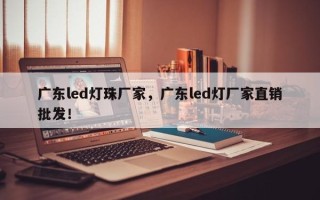 广东led灯珠厂家，广东led灯厂家直销批发！