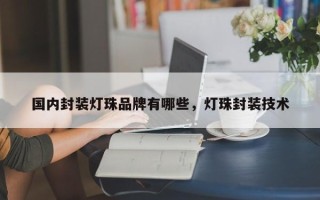 国内封装灯珠品牌有哪些，灯珠封装技术