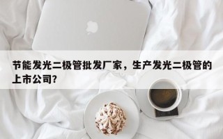 节能发光二极管批发厂家，生产发光二极管的上市公司？