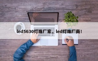 led5630灯珠厂家，led灯珠厂商！