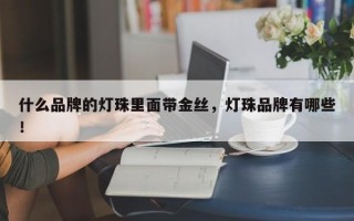 什么品牌的灯珠里面带金丝，灯珠品牌有哪些！