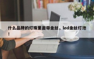 什么品牌的灯珠里面带金丝，led金丝灯泡！