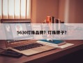 5630灯珠品牌？灯珠牌子？