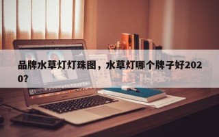 品牌水草灯灯珠图，水草灯哪个牌子好2020？