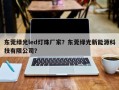 东莞绿光led灯珠厂家？东莞绿光新能源科技有限公司？