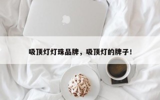 吸顶灯灯珠品牌，吸顶灯的牌子！