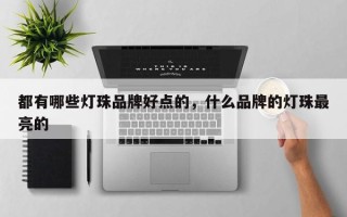 都有哪些灯珠品牌好点的，什么品牌的灯珠最亮的