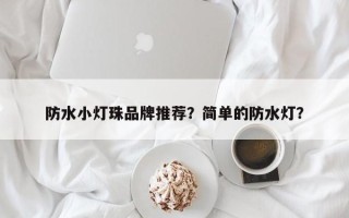 防水小灯珠品牌推荐？简单的防水灯？