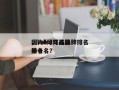 国内led灯珠品牌排名
，led灯珠品牌排名
前十名？