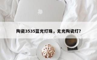 陶瓷3535蓝光灯珠，无光陶瓷灯？