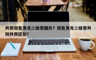 共阴双色发光二极管图片？双色发光二极管共阳共阴区别？