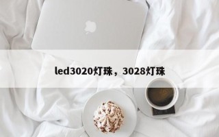 led3020灯珠，3028灯珠