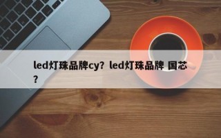 led灯珠品牌cy？led灯珠品牌 国芯？