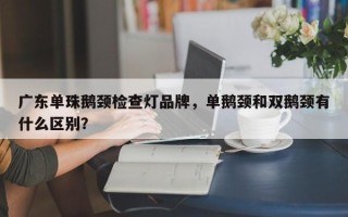 广东单珠鹅颈检查灯品牌，单鹅颈和双鹅颈有什么区别？