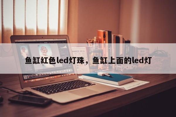 鱼缸红色led灯珠，鱼缸上面的led灯-第1张图片-LED灯珠-LED灯珠贴片-LED灯珠厂家台宏光电