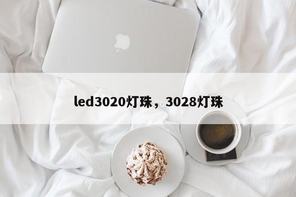 led3020灯珠，3028灯珠-第1张图片-LED灯珠-LED灯珠贴片-LED灯珠厂家台宏光电