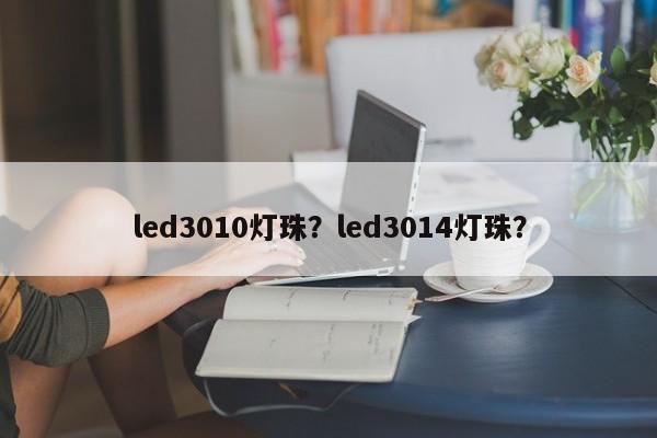 led3010灯珠？led3014灯珠？-第1张图片-LED灯珠-LED灯珠贴片-LED灯珠厂家台宏光电