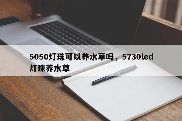 5050灯珠可以养水草吗，5730led灯珠养水草-第1张图片-LED灯珠-LED灯珠贴片-LED灯珠厂家台宏光电