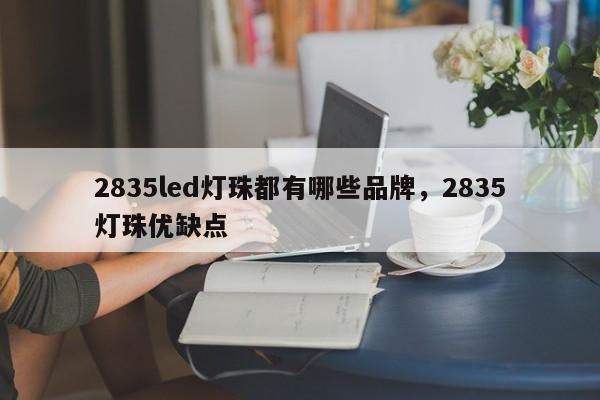 2835led灯珠都有哪些品牌，2835灯珠优缺点-第1张图片-LED灯珠-LED灯珠贴片-LED灯珠厂家台宏光电