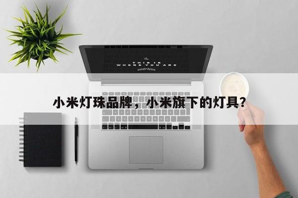 小米灯珠品牌，小米旗下的灯具？-第1张图片-LED灯珠-LED灯珠贴片-LED灯珠厂家台宏光电