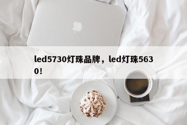 led5730灯珠品牌，led灯珠5630！-第1张图片-LED灯珠-LED灯珠贴片-LED灯珠厂家台宏光电