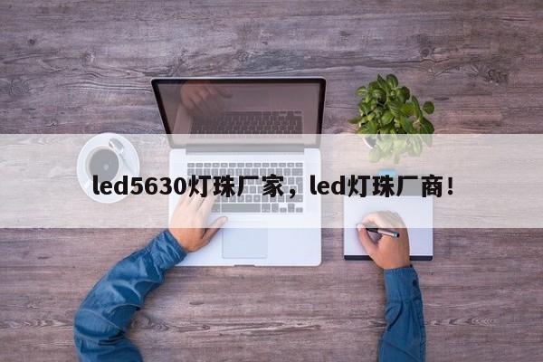 led5630灯珠厂家，led灯珠厂商！-第1张图片-LED灯珠-LED灯珠贴片-LED灯珠厂家台宏光电